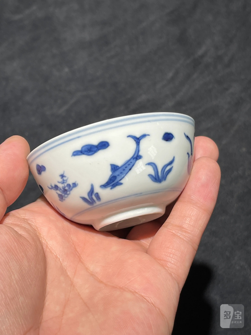 清康熙 青花鱼藻纹小杯一组五件 - 图21